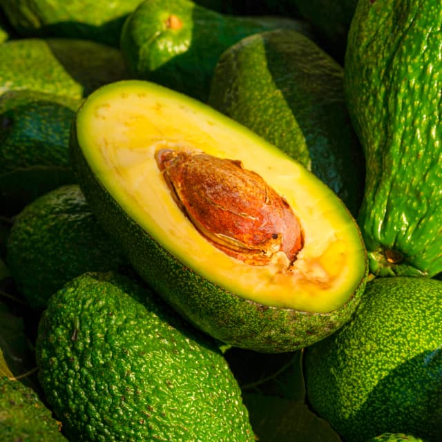 Avocado Oil
