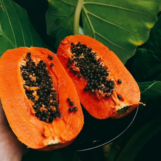 Papaya Extract