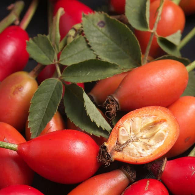 Rosehip Oil