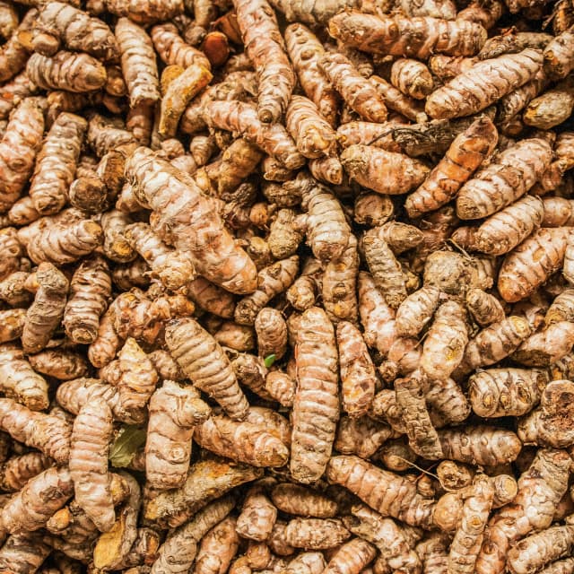 Turmeric Extract