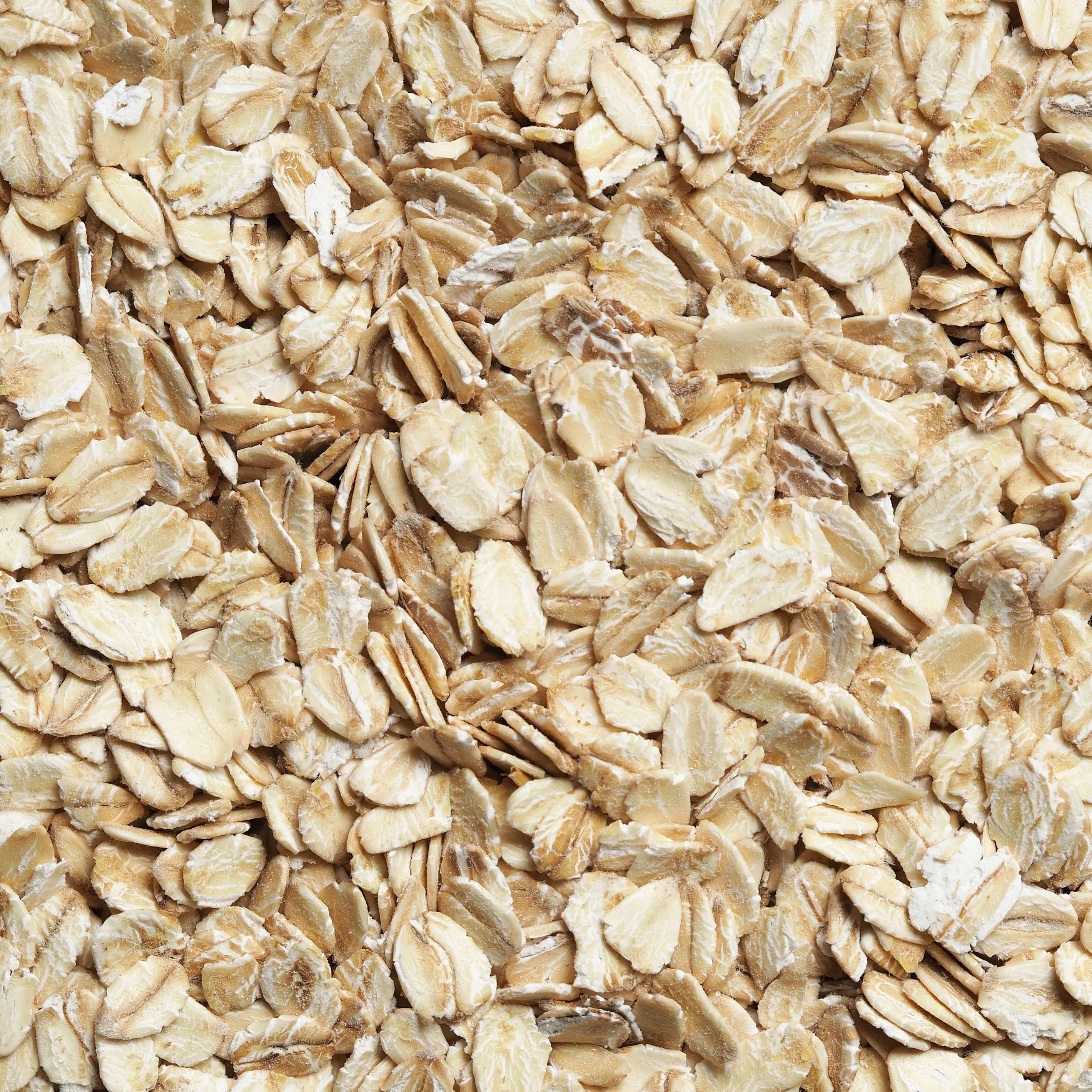 Oat Protein