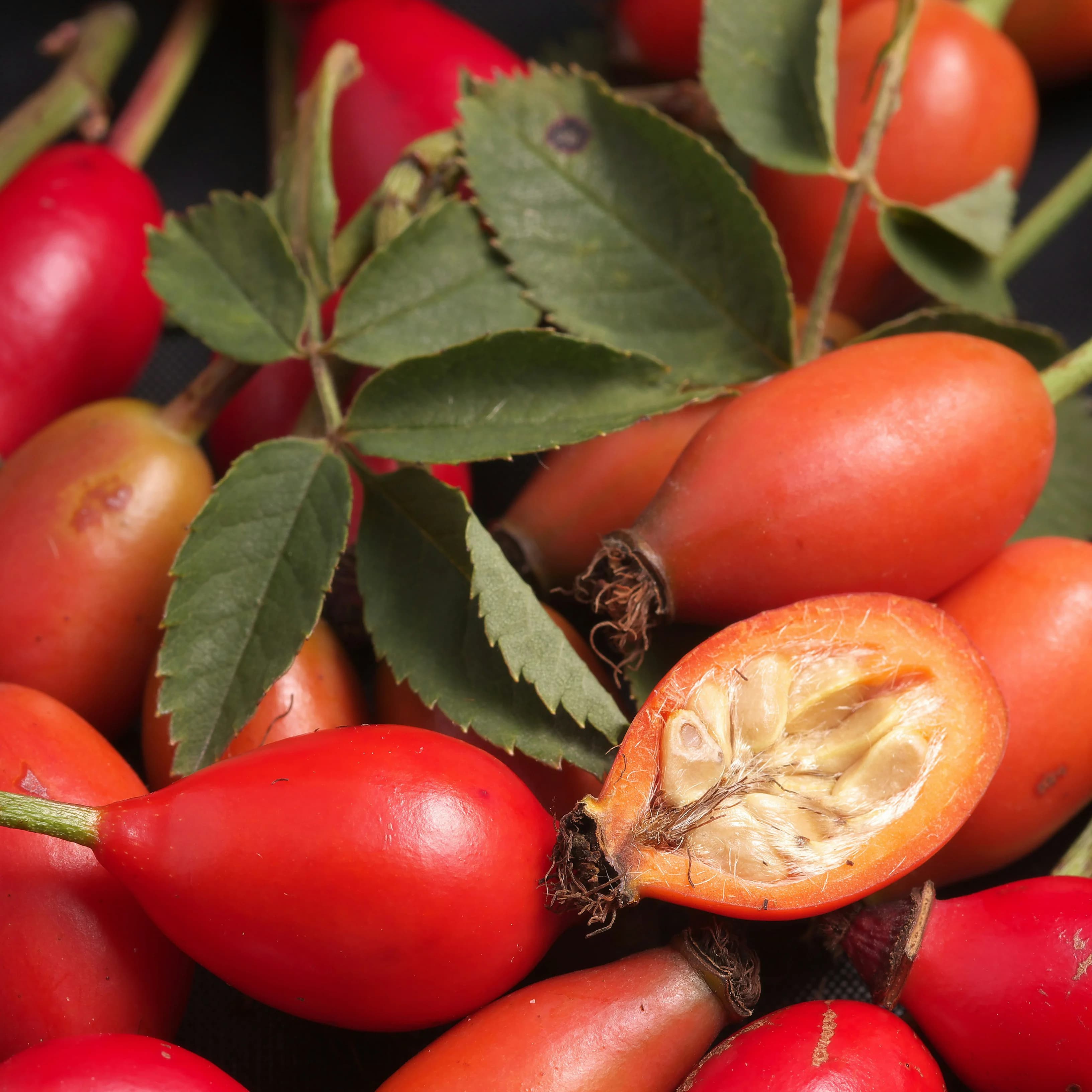 Rosehip Oil
