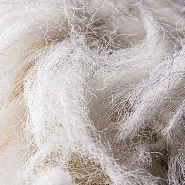 Hydrolyzed Silk Protein